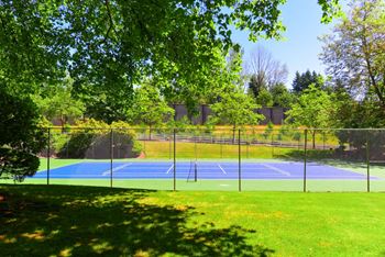 A tennis court is surrounded by trees and a fence